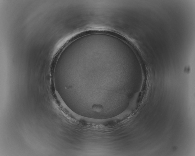 X0000115451319200911181538