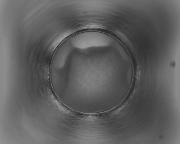 X0000115451321200911181538