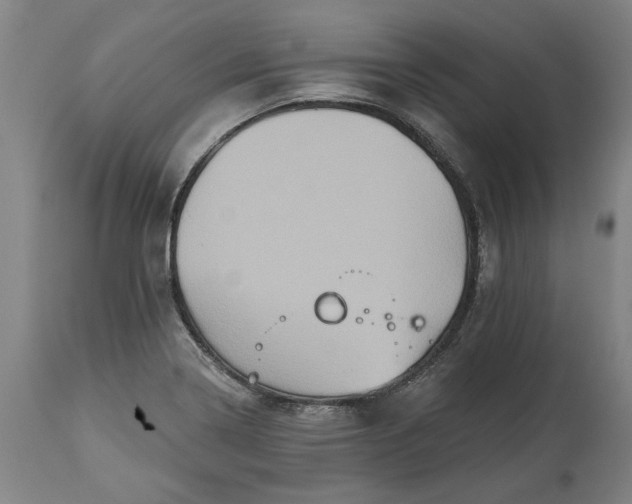 X0000115451322200911181538