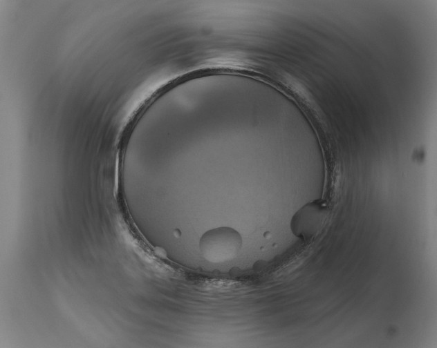 X0000115451323200911181538