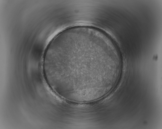 X0000115451325200911181538