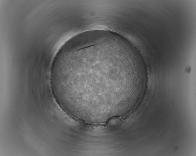 X0000115451326200911181538