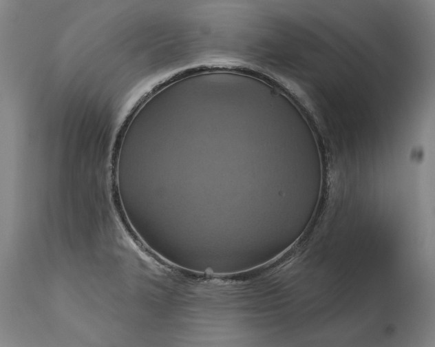 X0000115451327200911181538