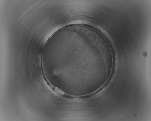 X0000115451329200911181538