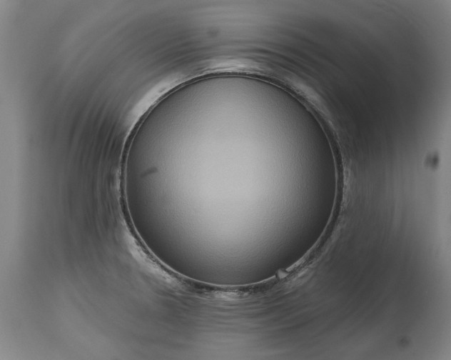 X0000115451330200911181538