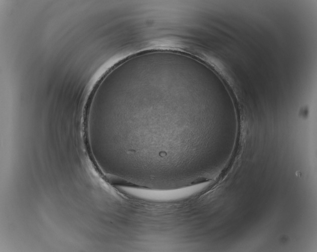 X0000115451331200911181538