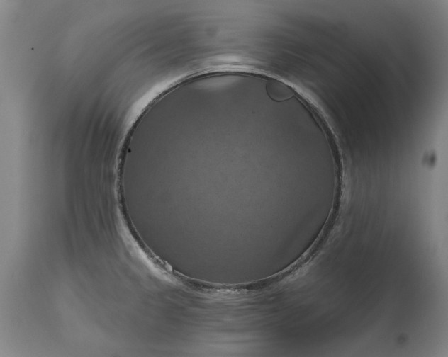 X0000115451333200911181538