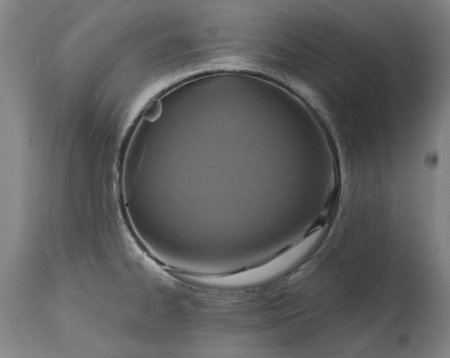 X0000115451334200911181538