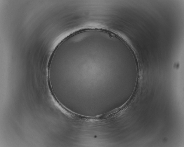 X0000115451335200911181538