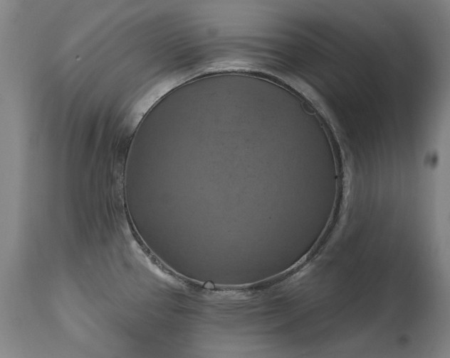 X0000115451337200911181538