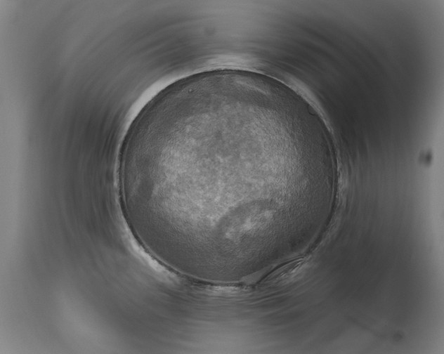 X0000115451339200911181538