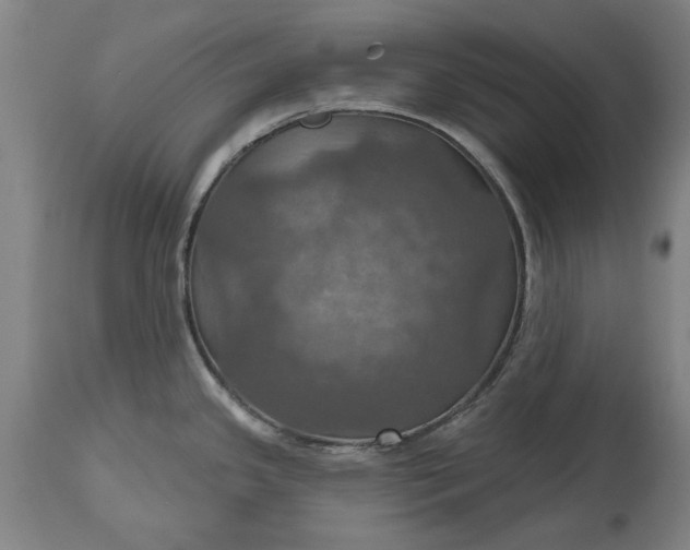 X0000115451341200911181538