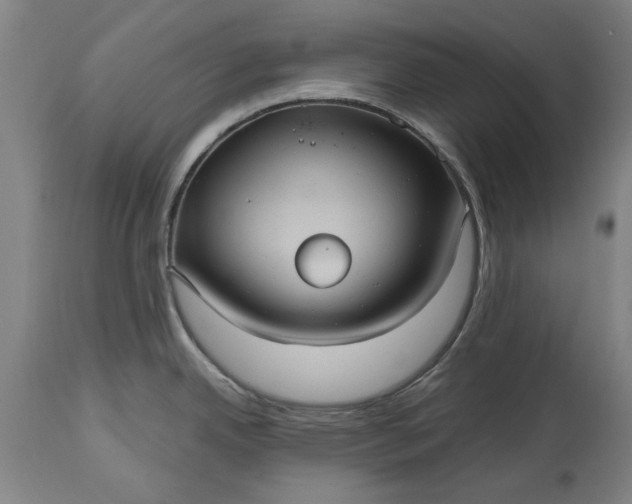 X0000115451342200911181538