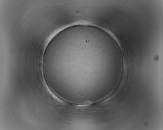 X0000115451343200911181538