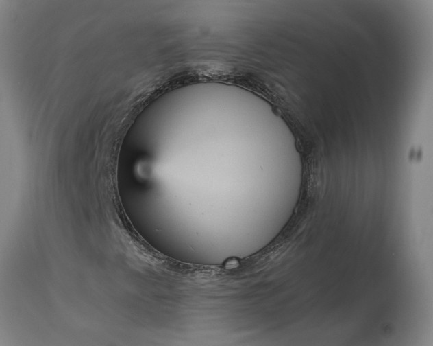 X0000115451345200911181537