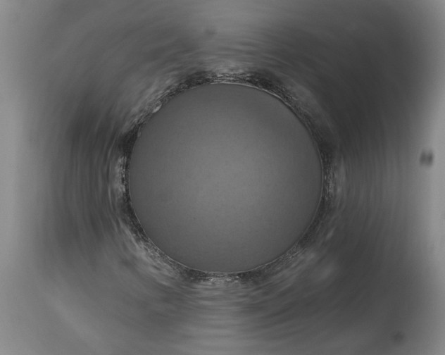 X0000115451346200911181537