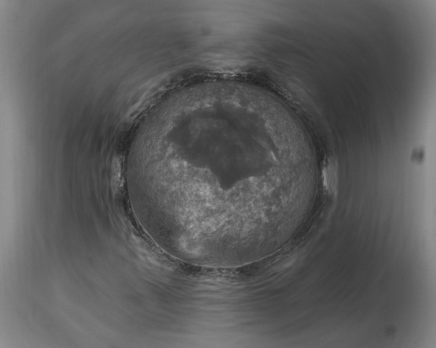 X0000115451347200911181537