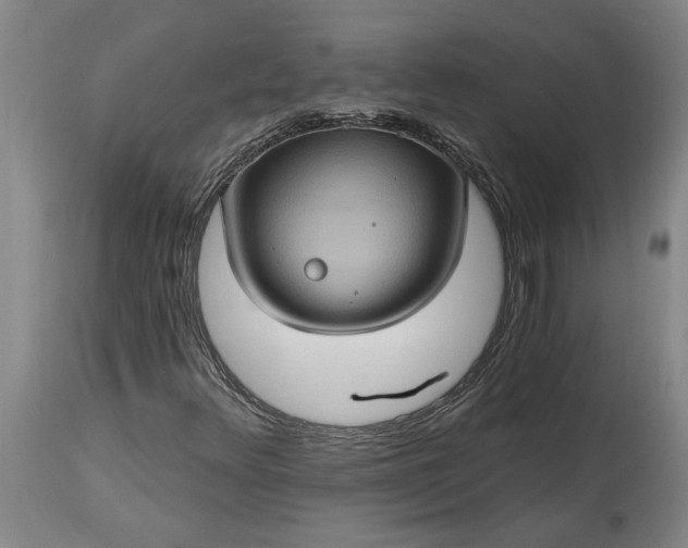 X0000115451348200911181537