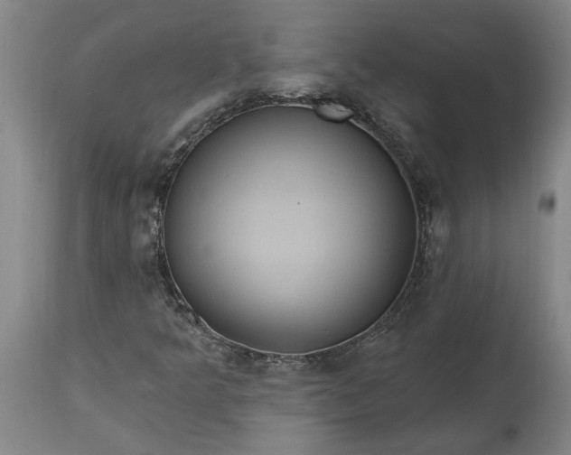 X0000115451349200911181537