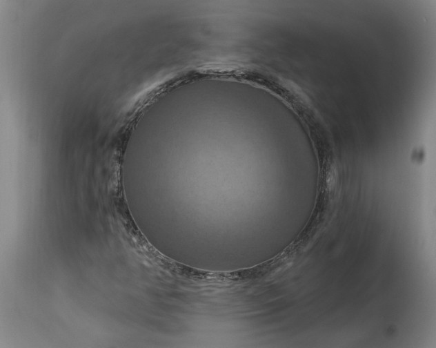 X0000115451350200911181537