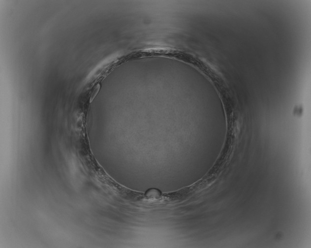 X0000115451351200911181537