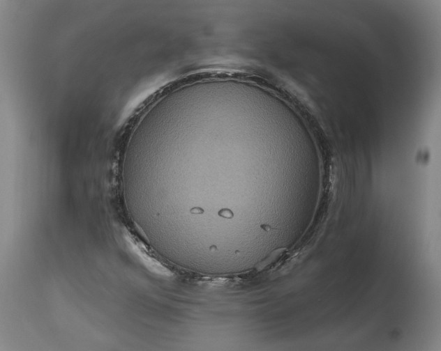 X0000115451352200911181537