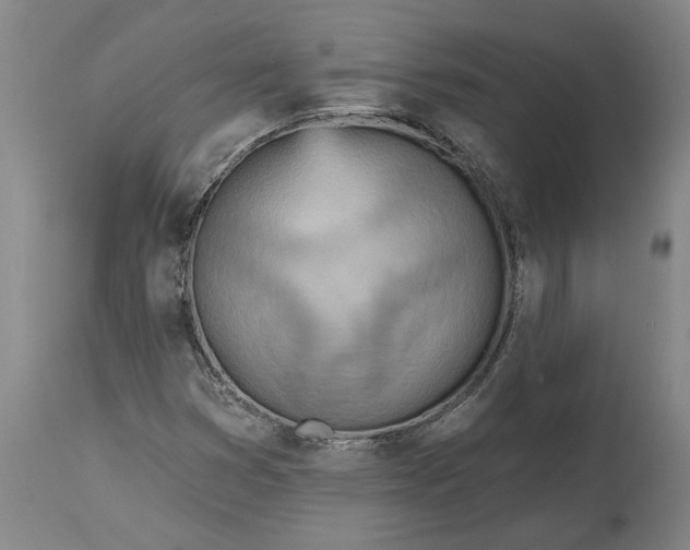 X0000115451353200911181537