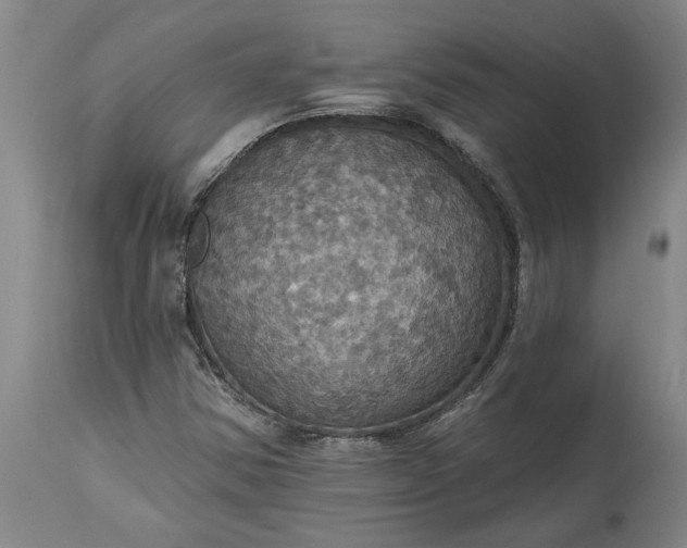 X0000115451354200911181537