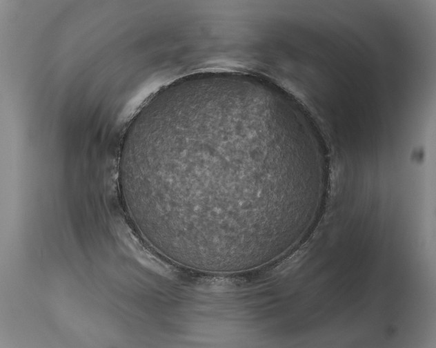 X0000115451355200911181537