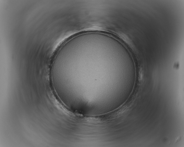 X0000115451356200911181537