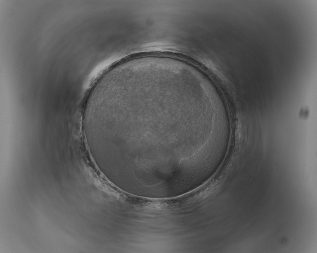 X0000115451358200911181537