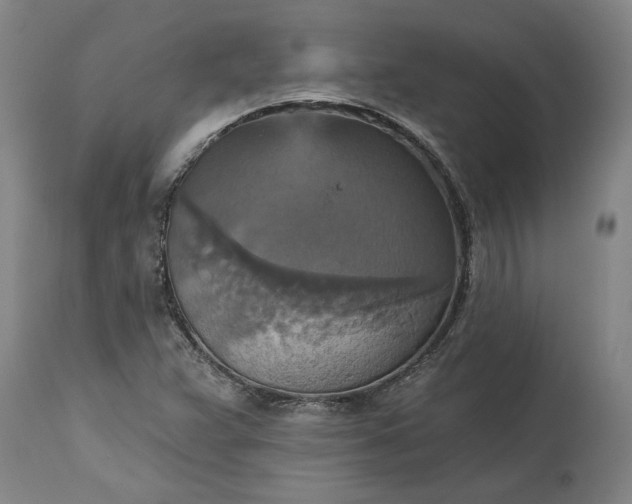 X0000115451359200911181537