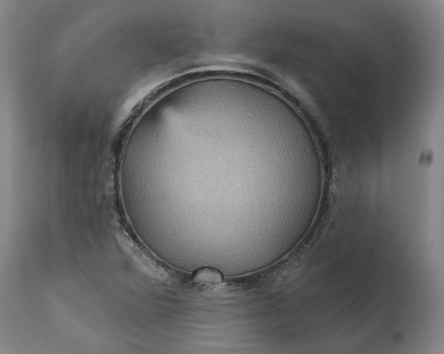 X0000115451360200911181537