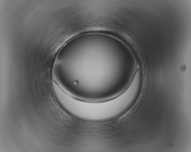 X0000115451361200911181537