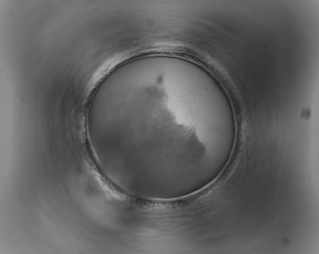 X0000115451362200911181537