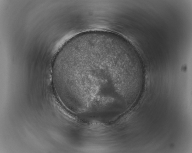 X0000115451363200911181537