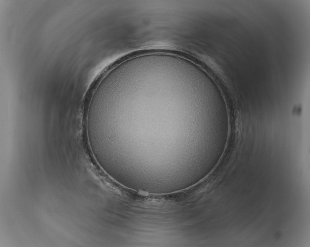 X0000115451364200911181537