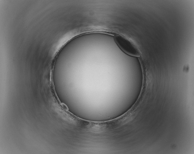 X0000115451365200911181537