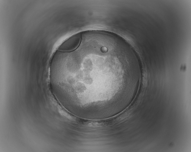 X0000115451366200911181537