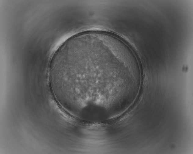 X0000115451367200911181537