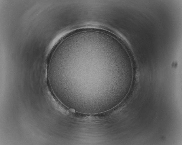 X0000115451368200911181537