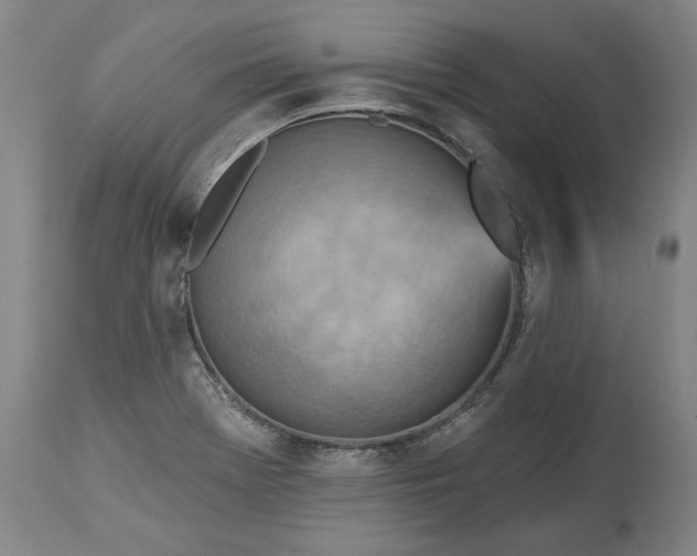 X0000115451369200911181537