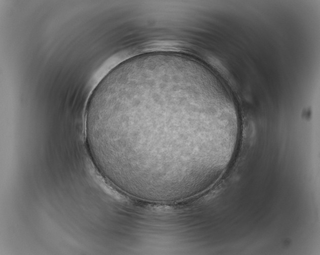 X0000115451370200911181537