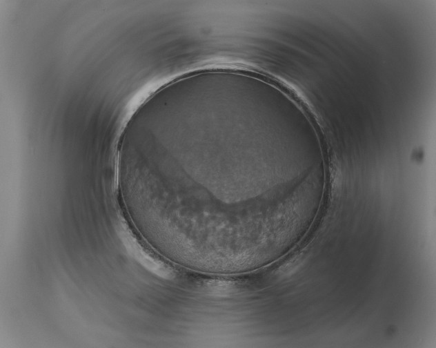 X0000115451371200911181537