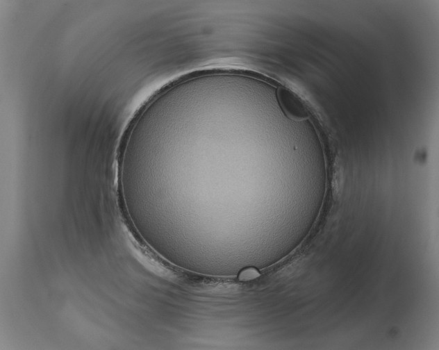 X0000115451372200911181537