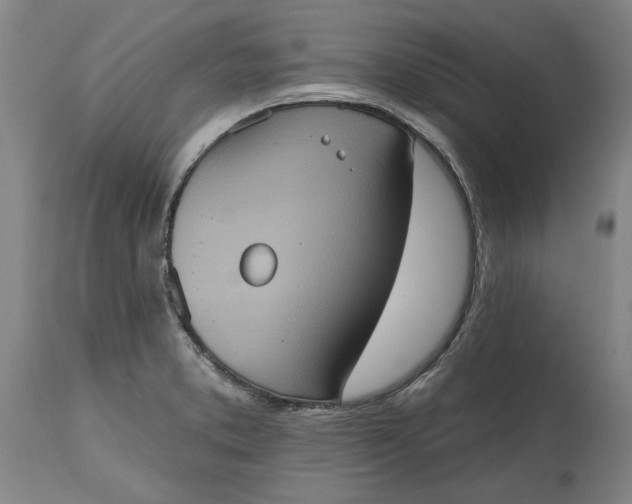 X0000115451373200911181537