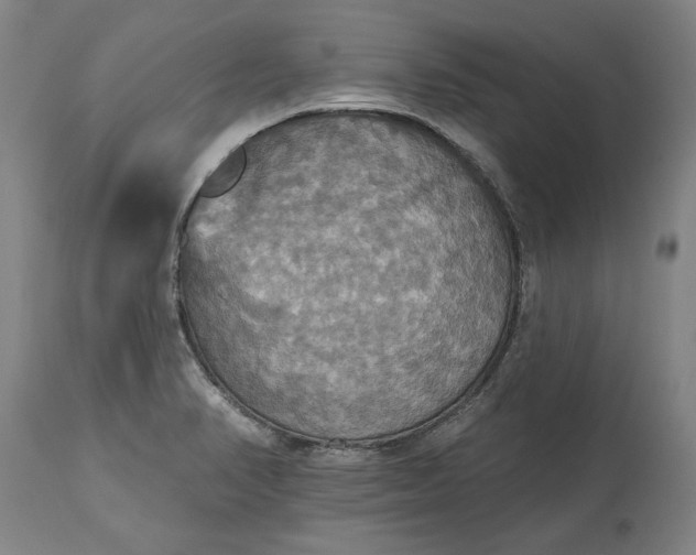 X0000115451374200911181537