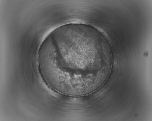 X0000115451375200911181537