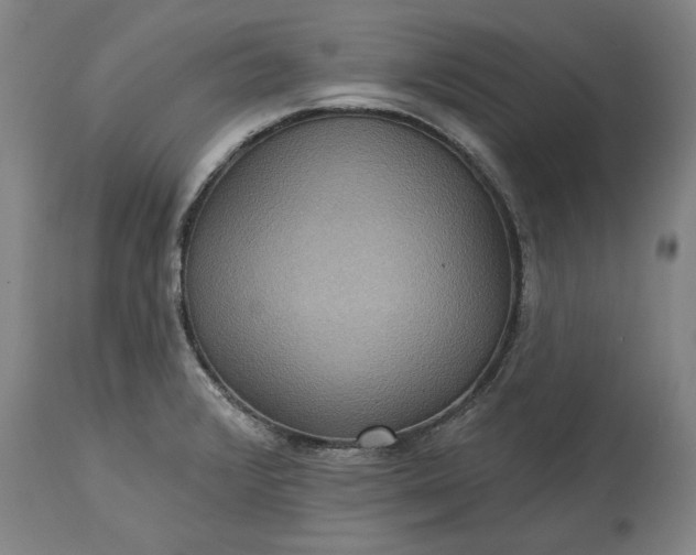 X0000115451376200911181537