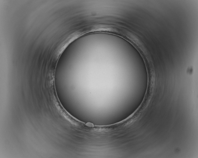 X0000115451377200911181537